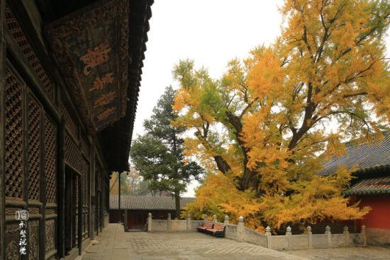 雁塔区——大觉寺